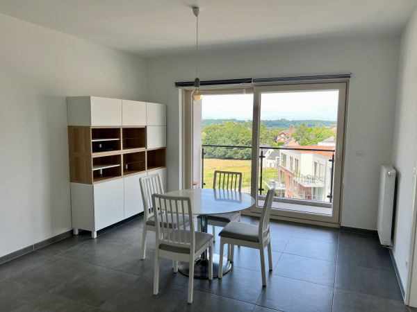 Maîtriser la recherche d'un appartement étudiant à Toulouse
